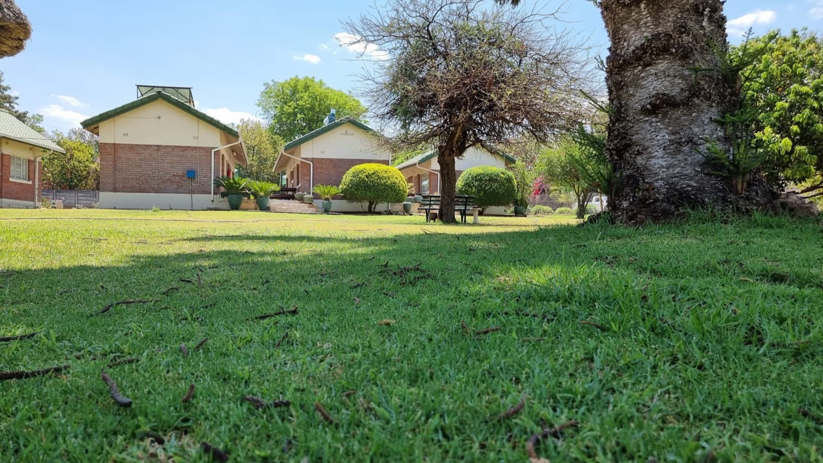 The lawn and garden at Villa Thabiso